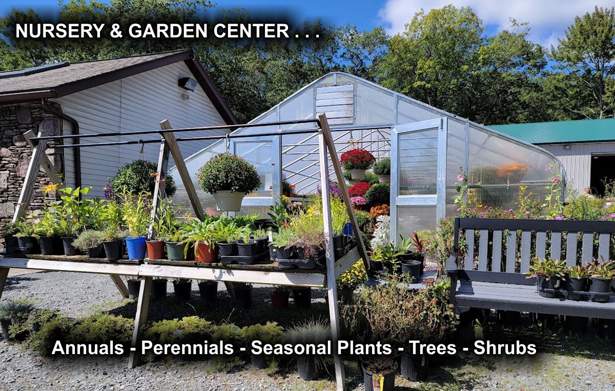 JML Nursery and Garden Center